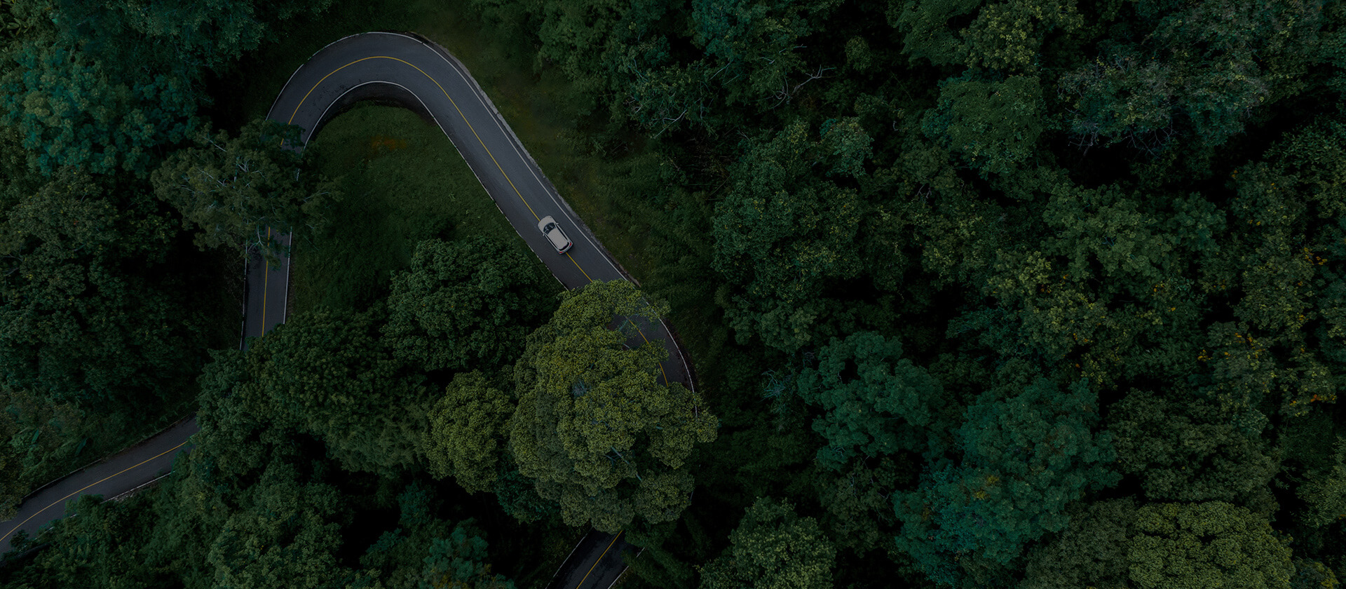 VOLM sustainability roadmap | Low-carbon transformation